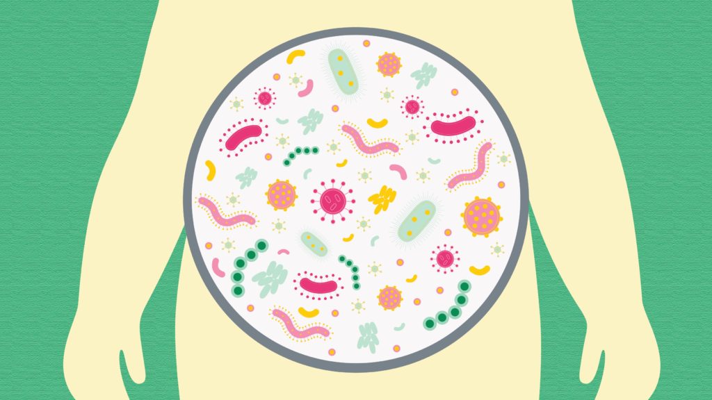 COULD A POTENTIAL CAUSE OF OBESITY BE HIDING IN OUR GUT?