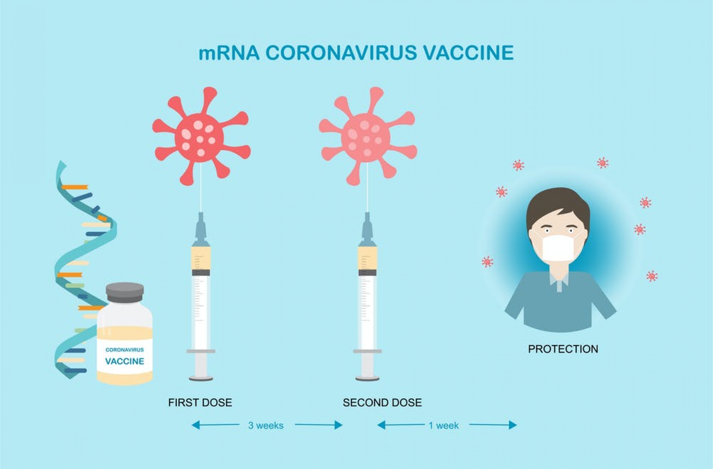 How do mRNA vaccines work?